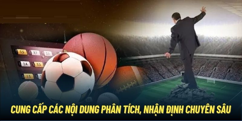 Cung cấp các nội dung phân tích, nhận định chuyên sâu