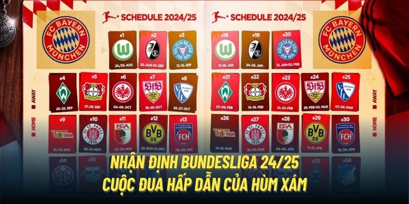 Nhận định Bundesliga 24/25 - Cuộc đua hấp dẫn của Hùm Xám