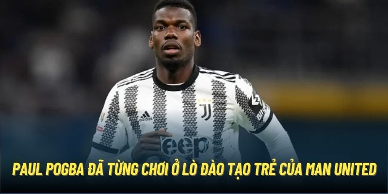 Paul Pogba đã từng chơi ở lò đào tạo trẻ của Man United